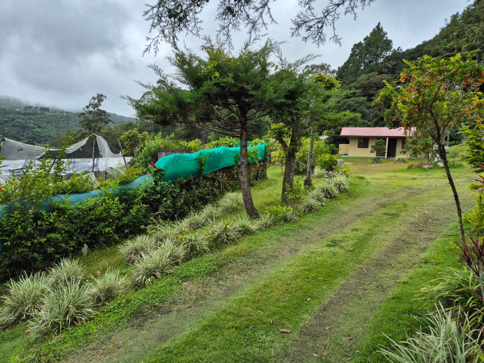 Boquete Centro cerca de la Finca